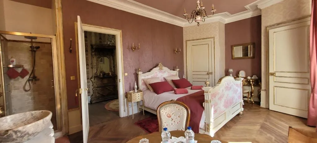 Château de Saint-Sulpice à Condal, photo 2