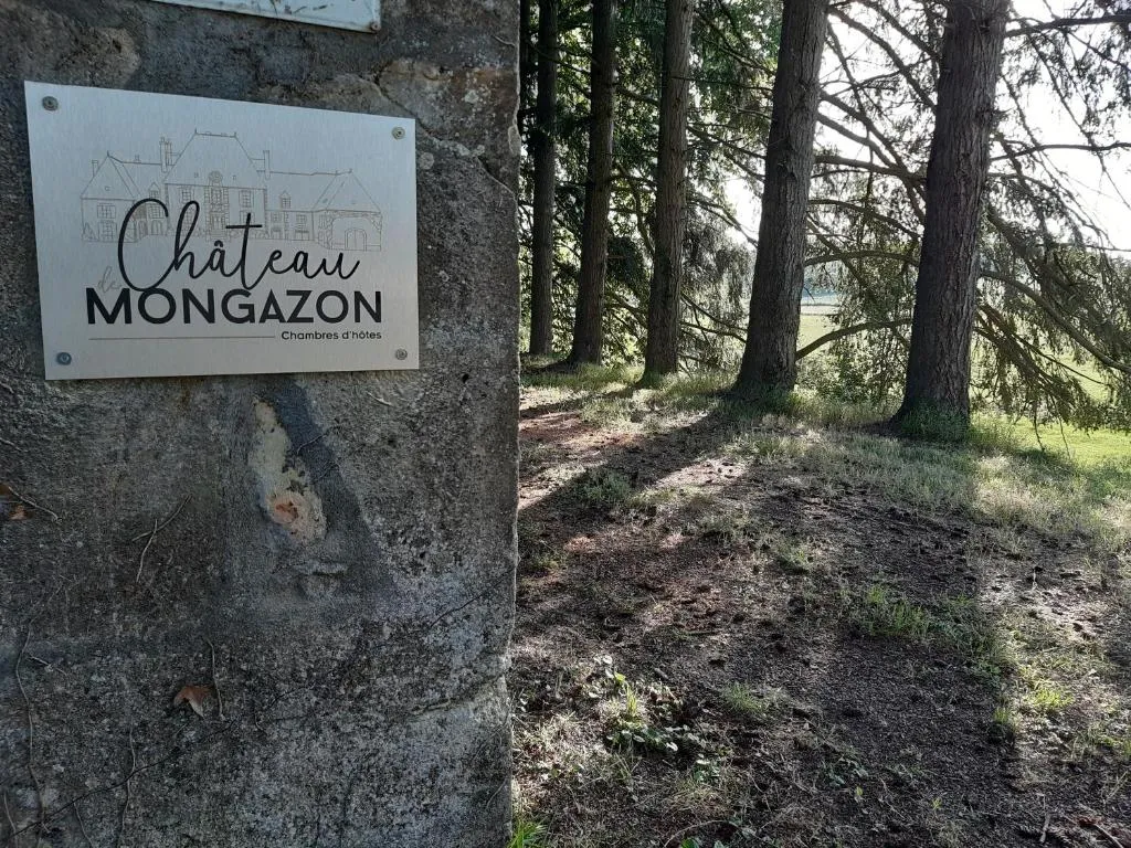 Château de Mongazon, château à Saint-Franchy