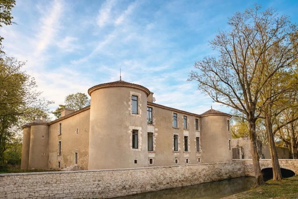 Château de la Grimenaudière à Sainte-Soulle, photo 6