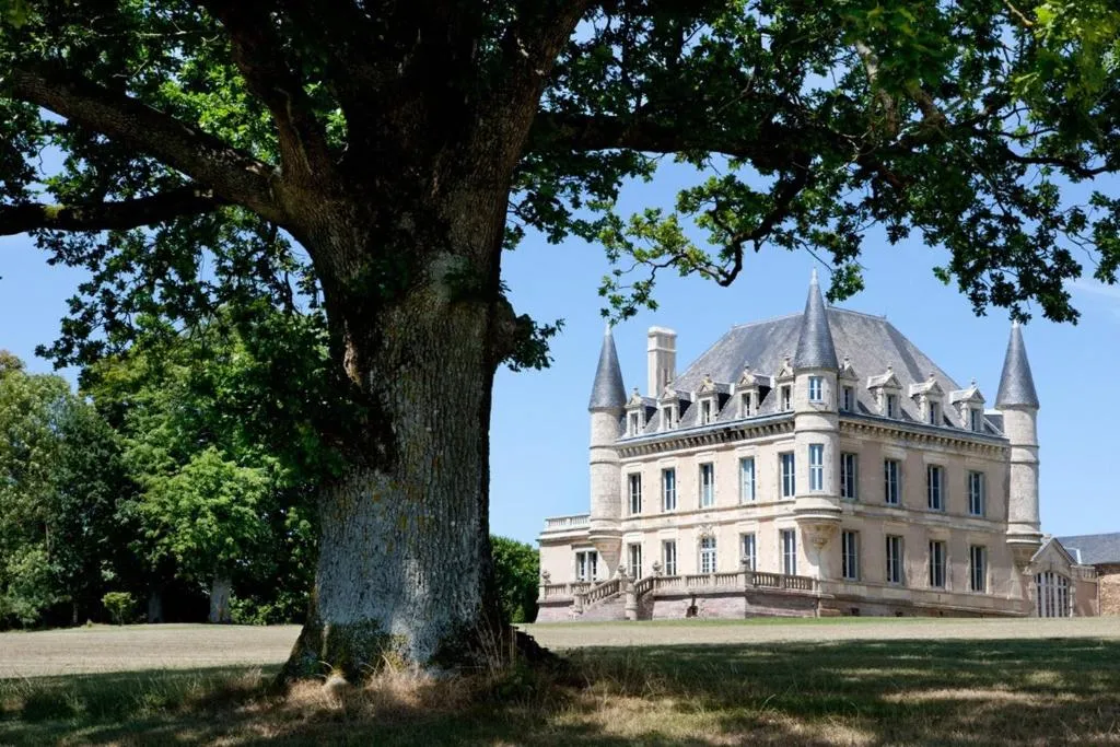 Château de la Goujonnerie, château à Loge-Fougereuse