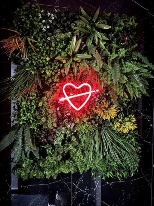 Love Room Luna Spa à Saint-Ouen-l'Aumône, photo 6