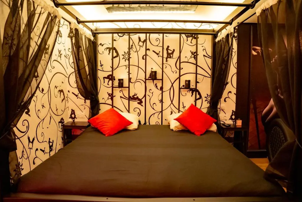 La Suite Kinky à Soisy-sous-Montmorency, photo 6