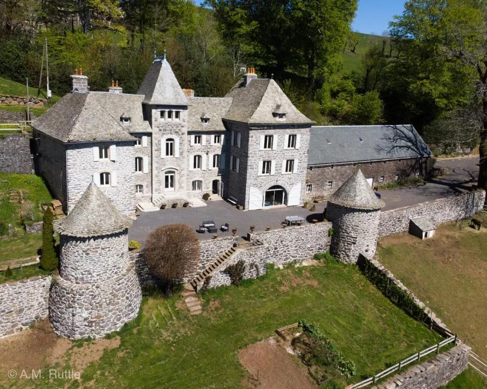 Château du Puech en Aubrac, château à Curières