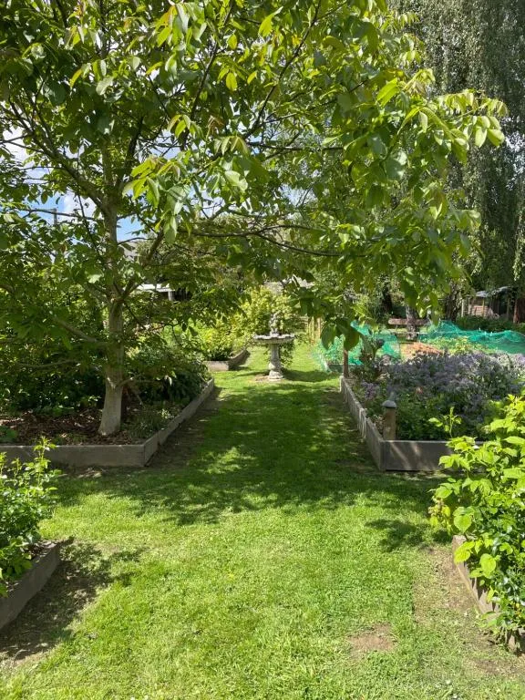 Manoir de la Bigotière à Pleslin-Trigavou, photo 3