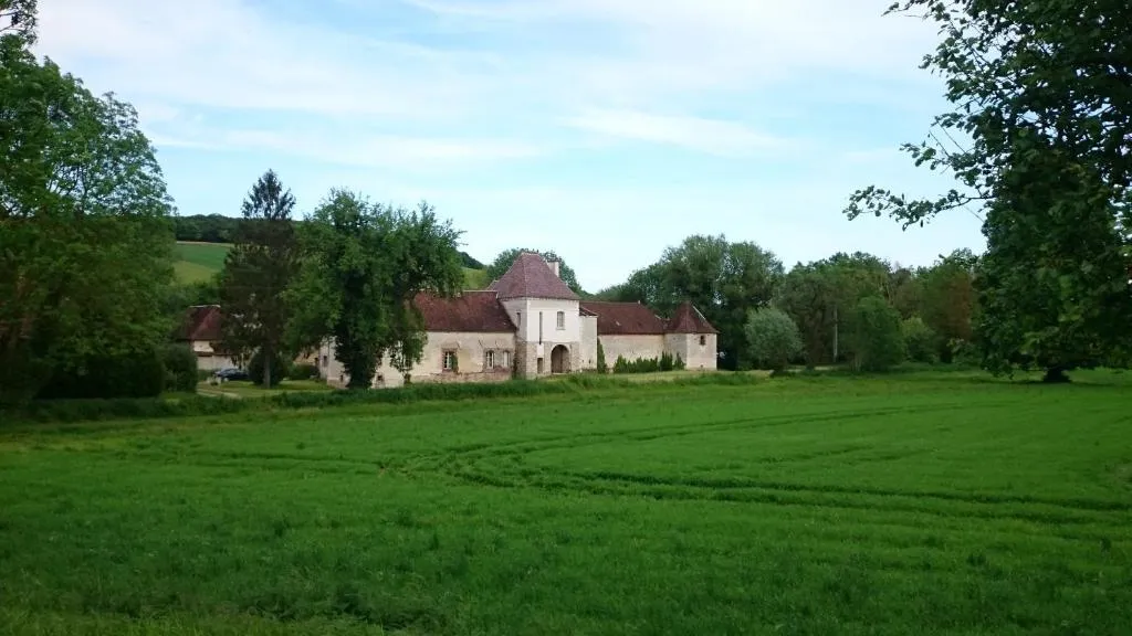 Château des Roises, château à Bucey-en-Othe