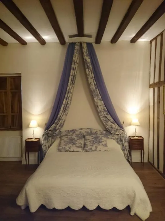 Château des Roises à Bucey-en-Othe, photo 6