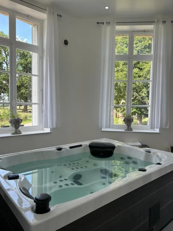 Suite bien-être du Château de la Bouchatte à Chazemais, photo 3
