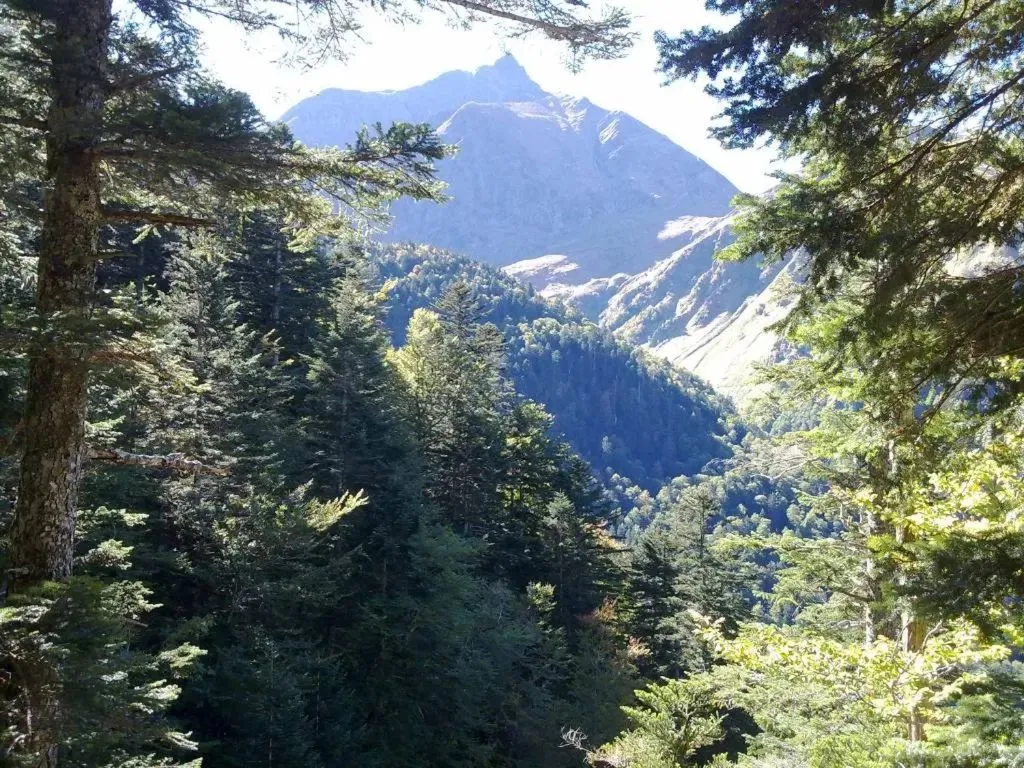Castel de la Pique à Cazarilh-Laspènes, photo 6
