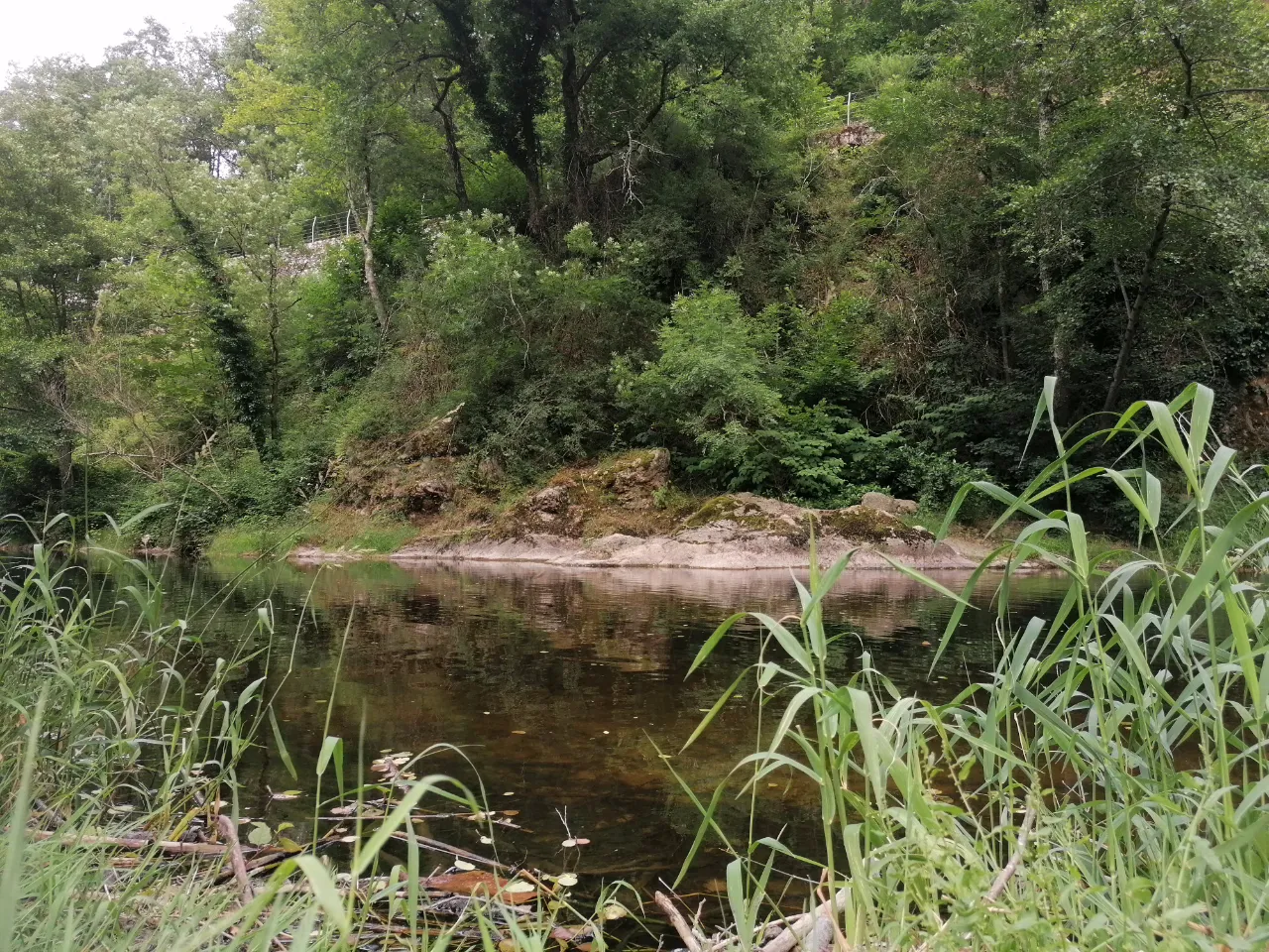 La Roulotte de Pacalier à Colombier-le-Vieux, photo 6