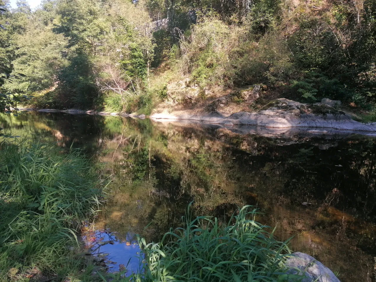 La Roulotte de Pacalier à Colombier-le-Vieux, photo 7