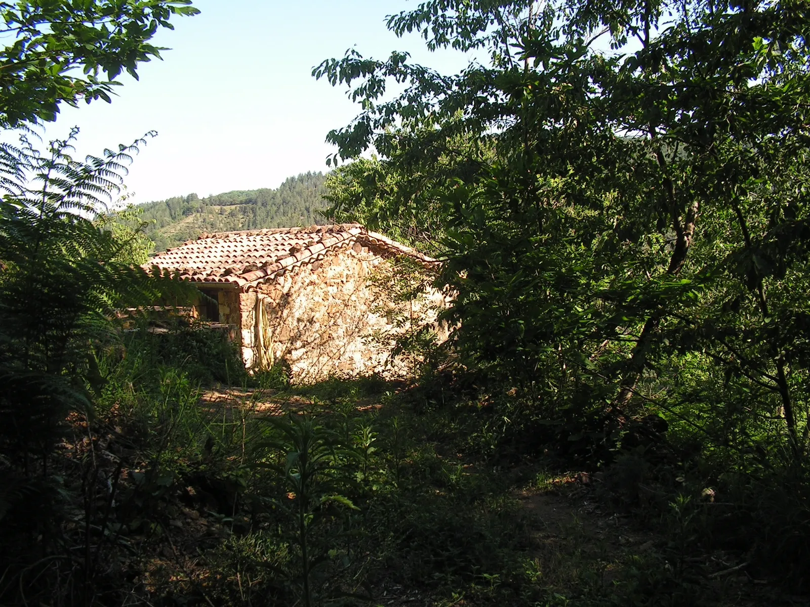La roulotte des Lamas à Rocles, photo 2