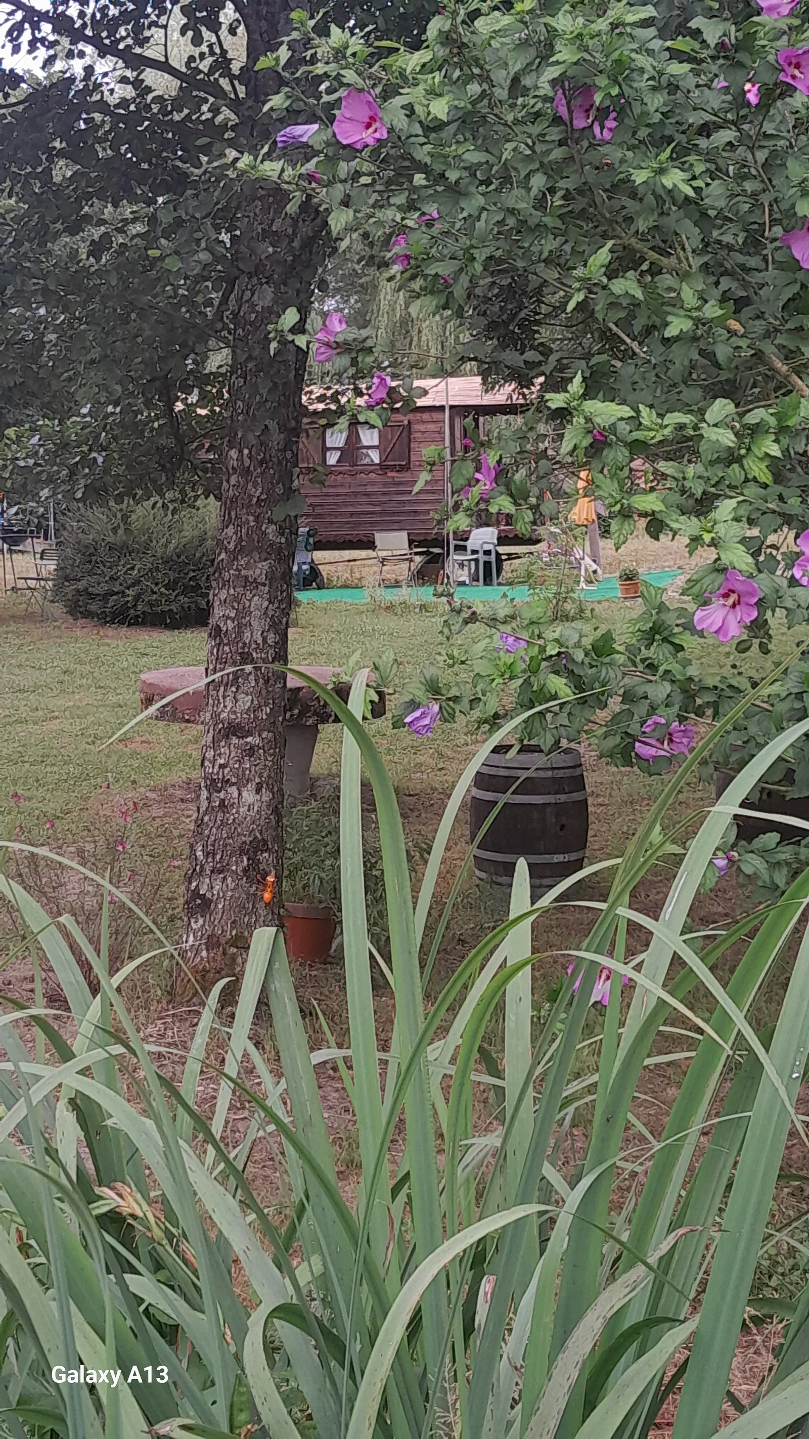 La roulotte au bord de l'étang à Larnaud, photo 7
