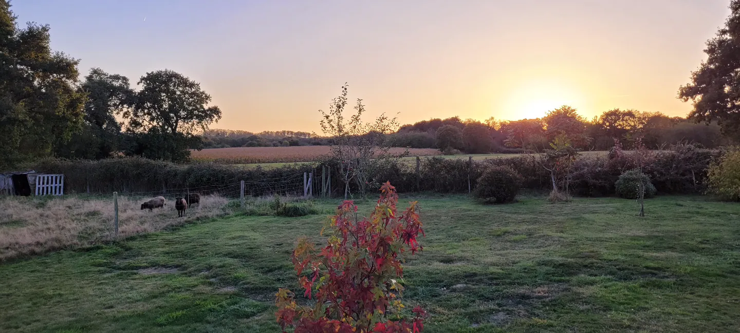 La Roucoulotte à Tréveneuc, photo 7