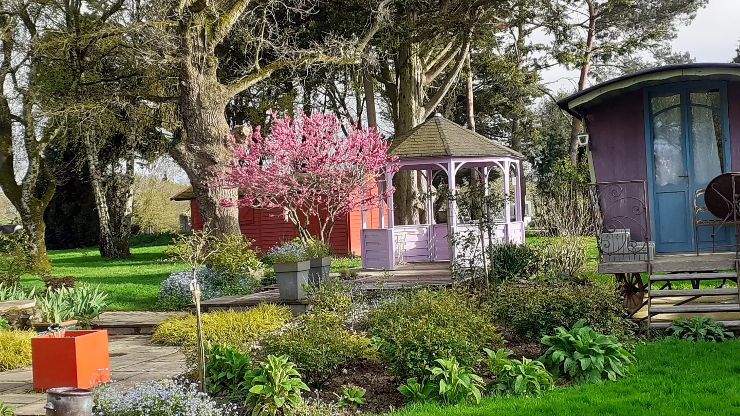 Roulotte Gitane à Ploërmel, photo 6
