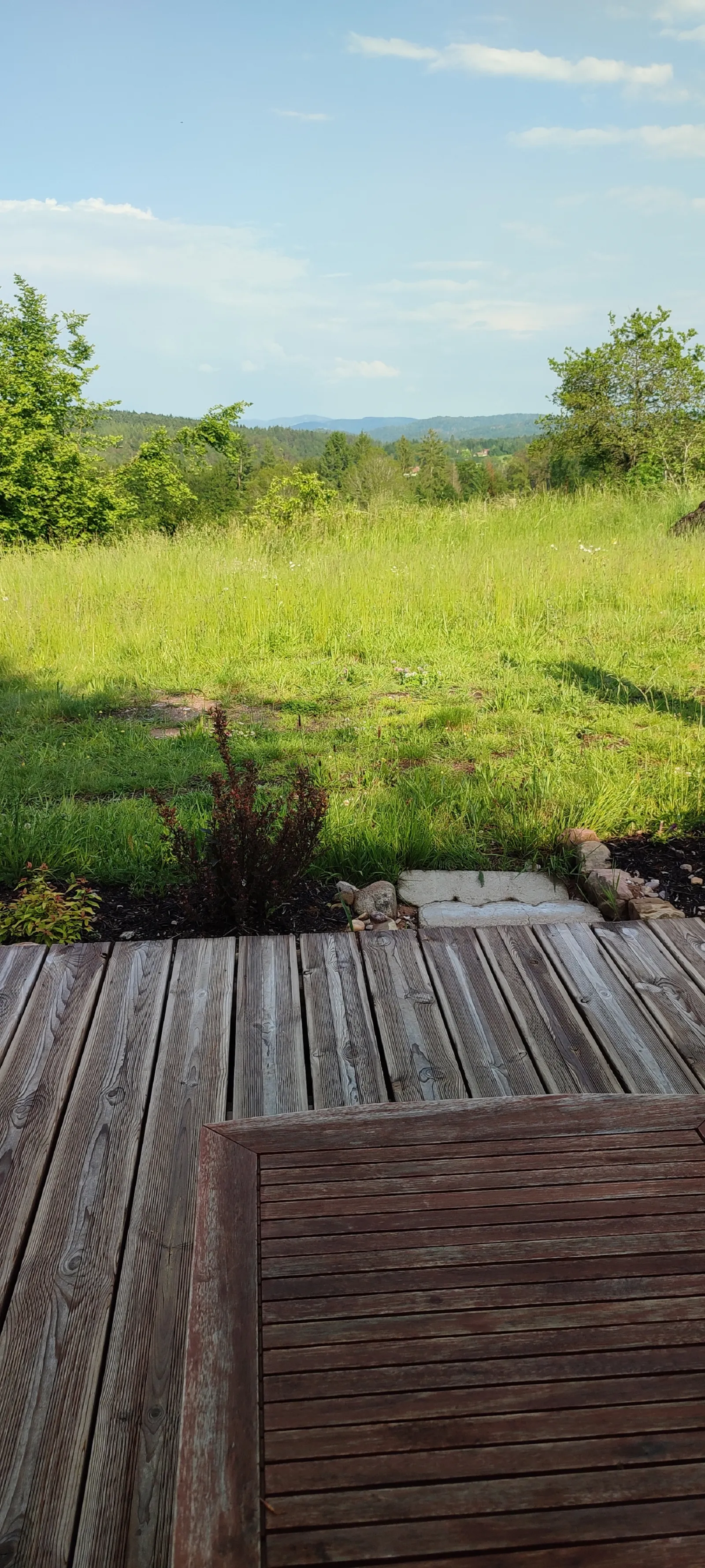 Roulotte Au Point de Vue à Bellefontaine, photo 7
