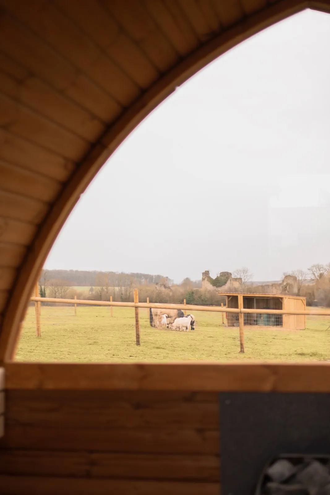 Roulotte du Ranch Martreux à Blâmont, photo 7