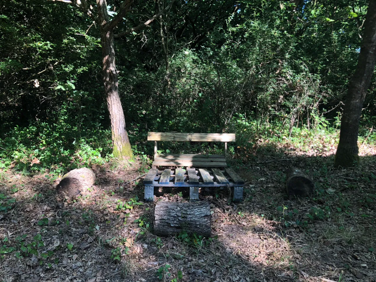 La Roulotte des Bois d'Oléron à Le Château-d'Oléron, photo 7