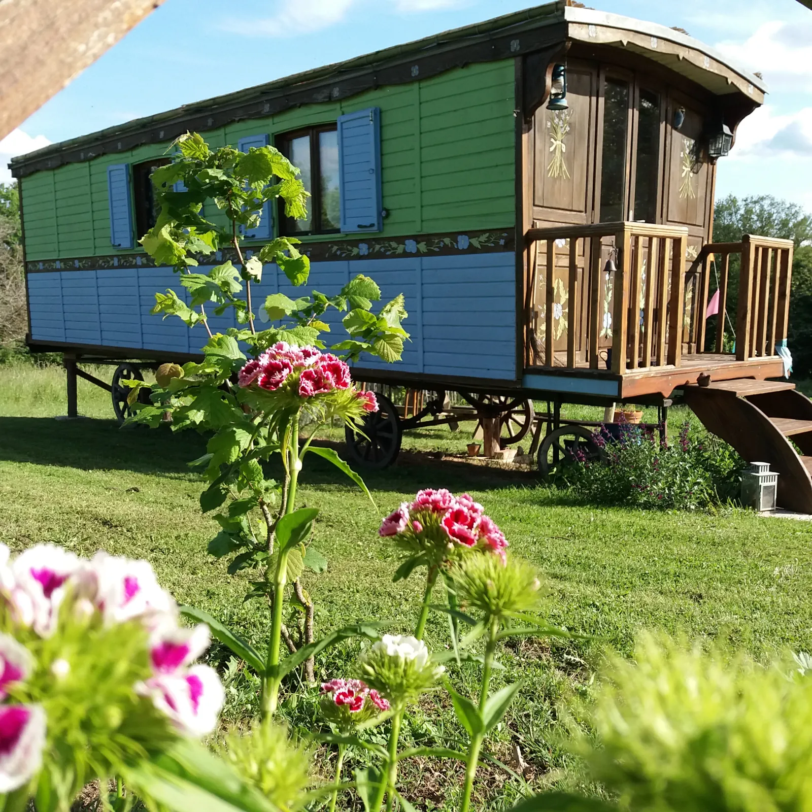 Fleur des Champs à Sigalens, photo 3