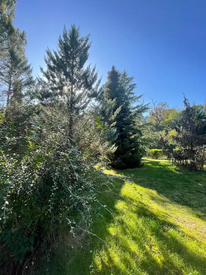La Roulotte Gipsy du Domaine Temali à Labouheyre, photo 7