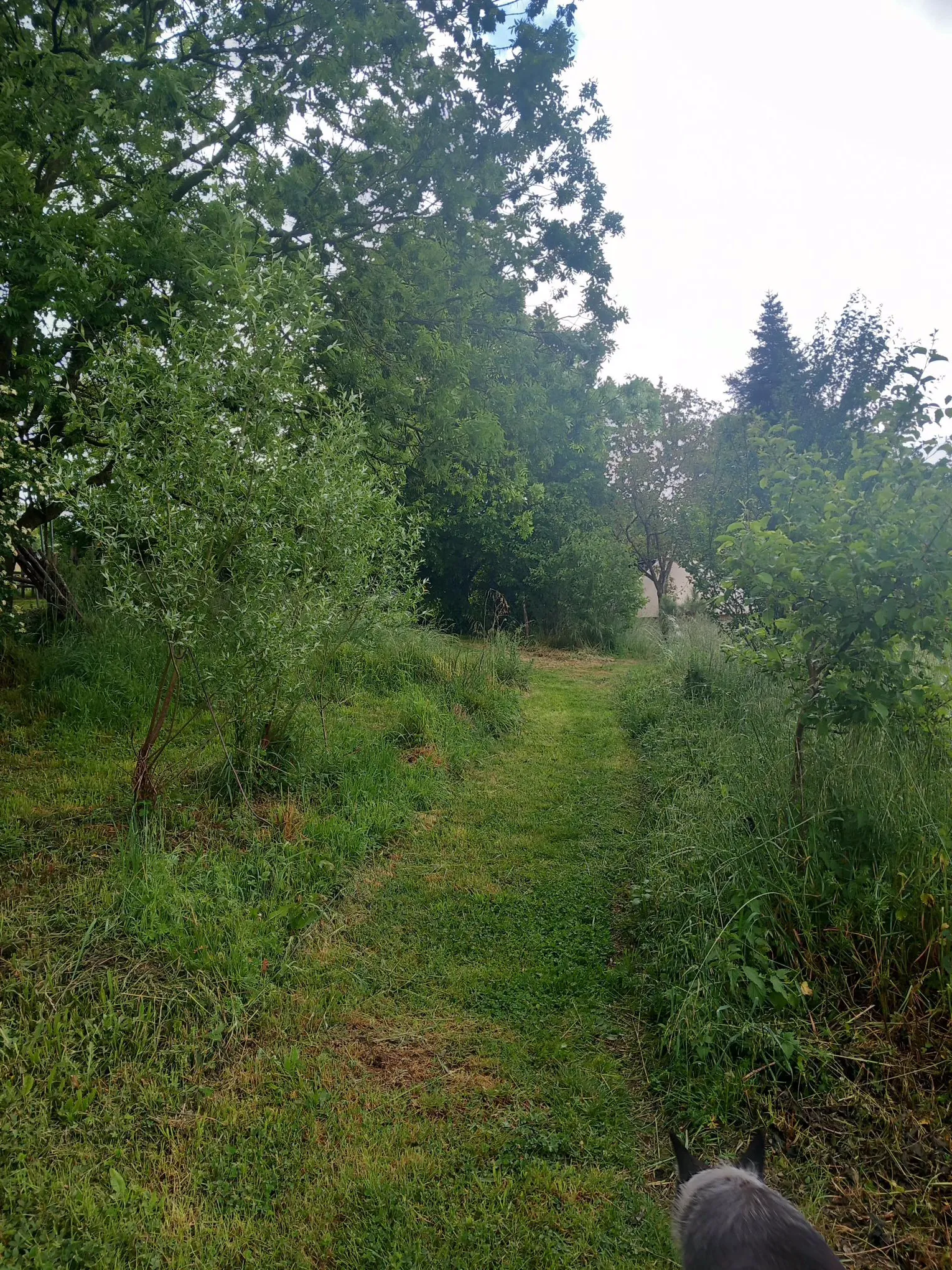 La Caravane Vintage Bucolique à Terre-de-Bancalié, photo 3