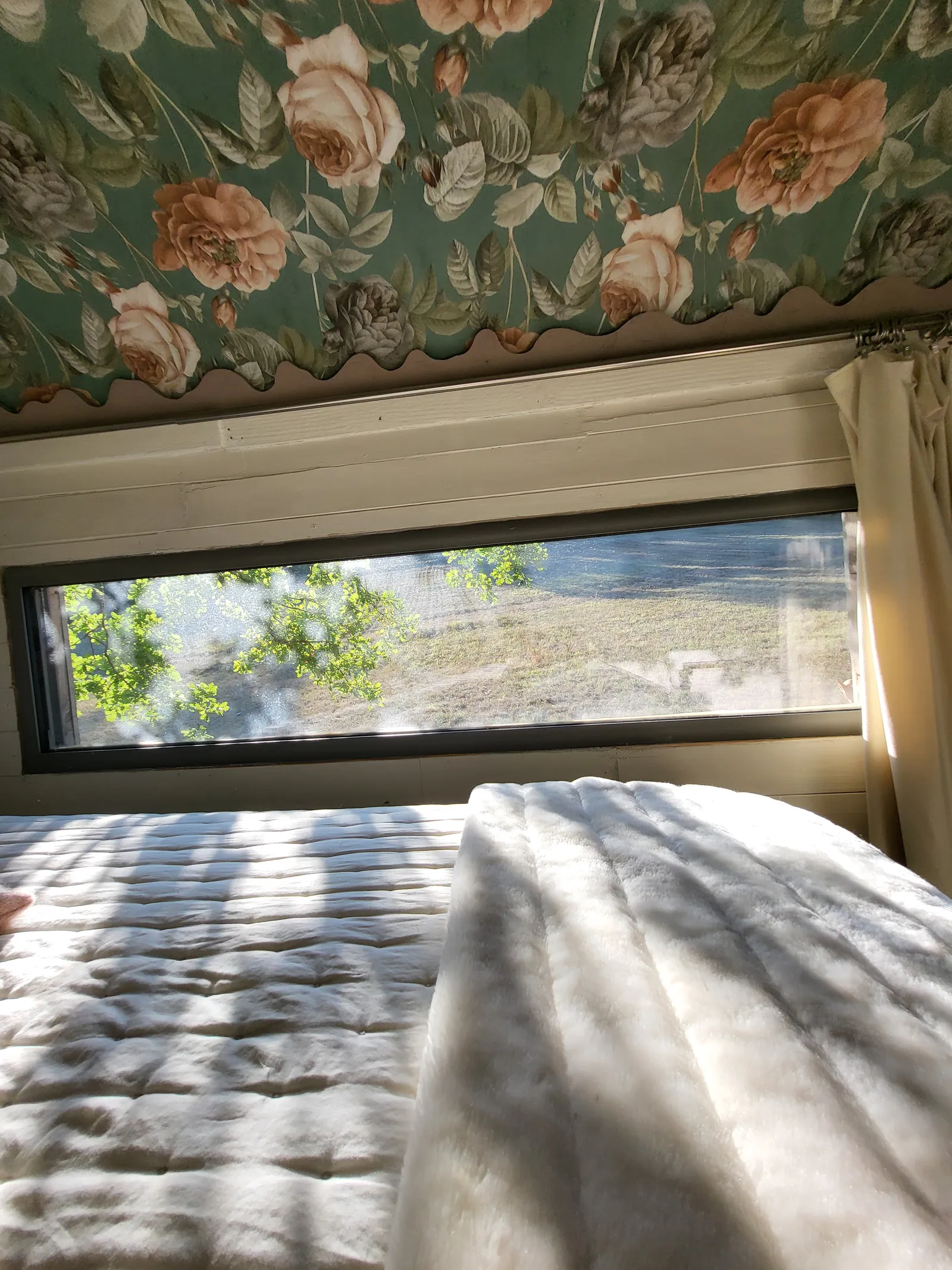 Le Riu de La Pauze à Camps-sur-l'Agly, photo 3