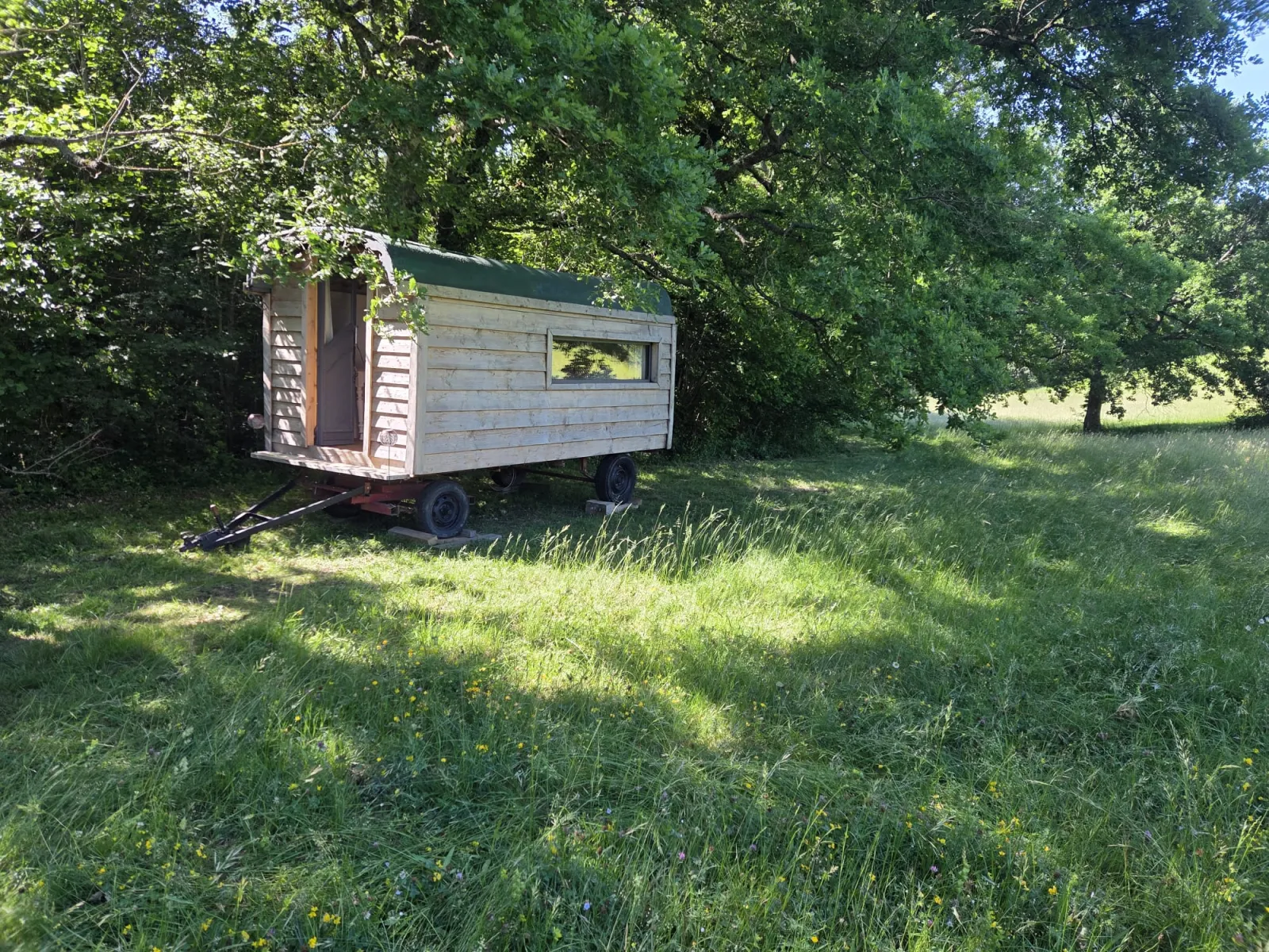 Le Riu de La Pauze à Camps-sur-l'Agly, photo 4