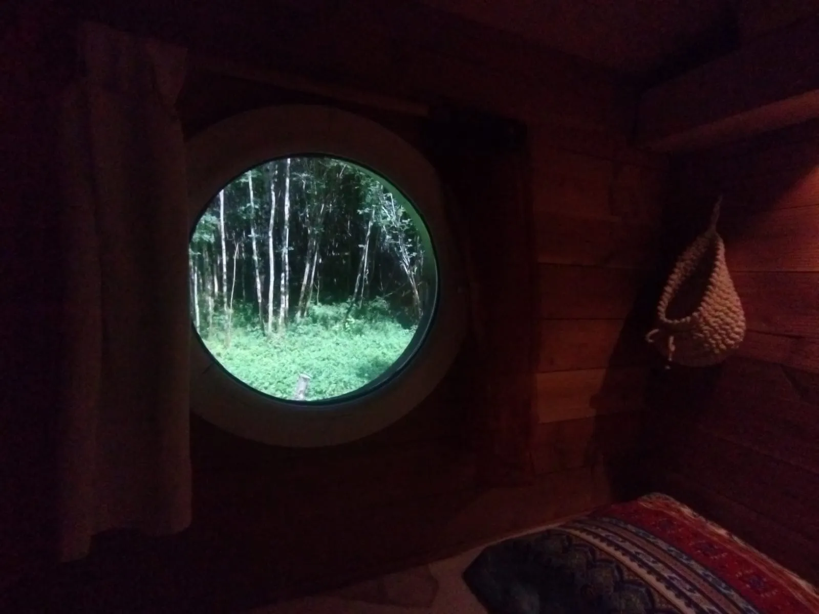Roulotte de la forêt à Cambounès, photo 7