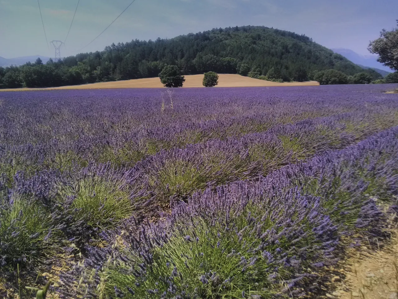 Roulotte de la Croix à Entrepierres, photo 4