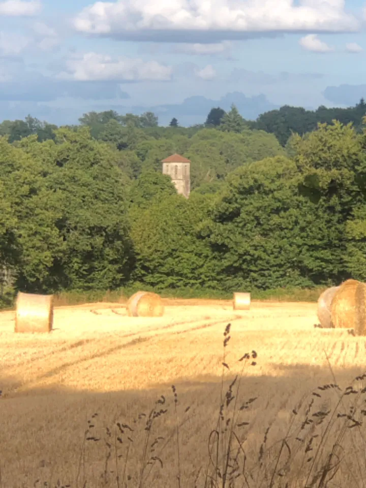 La Chouette des Granges à Les Salles-Lavauguyon, photo 7