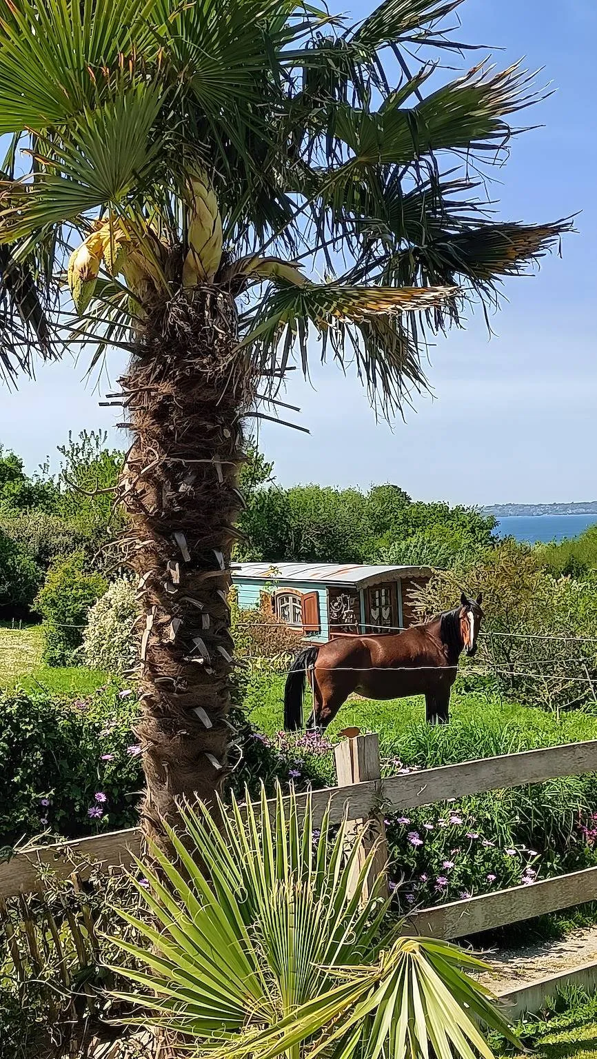 Roulotte vue mer à Plougastel-Daoulas, photo 3