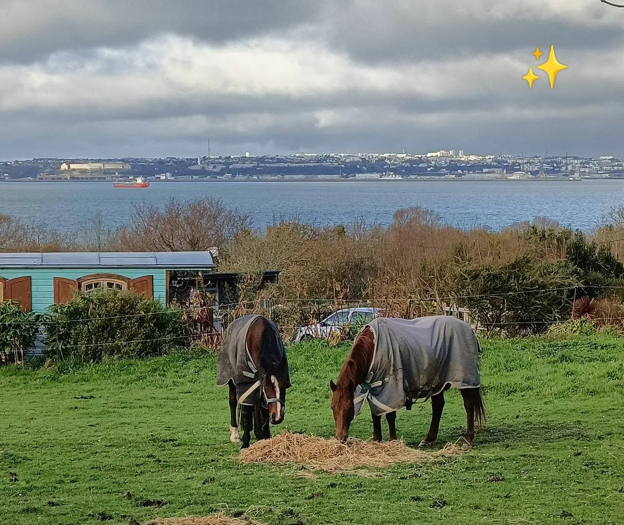 Roulotte vue mer à Plougastel-Daoulas, photo 6