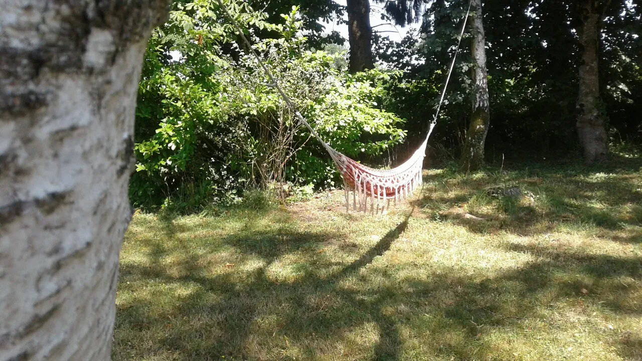 Yourte et Verdure à Treignat, photo 7