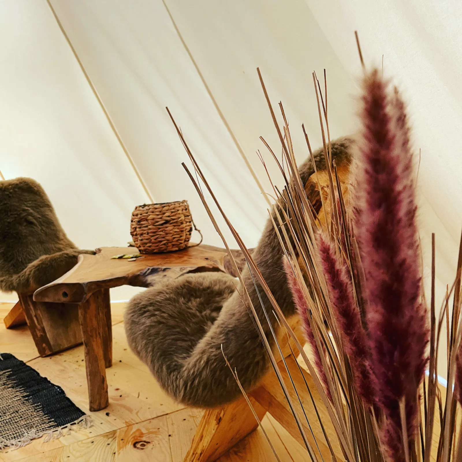 Tipi Leïka à Viévy, photo 7