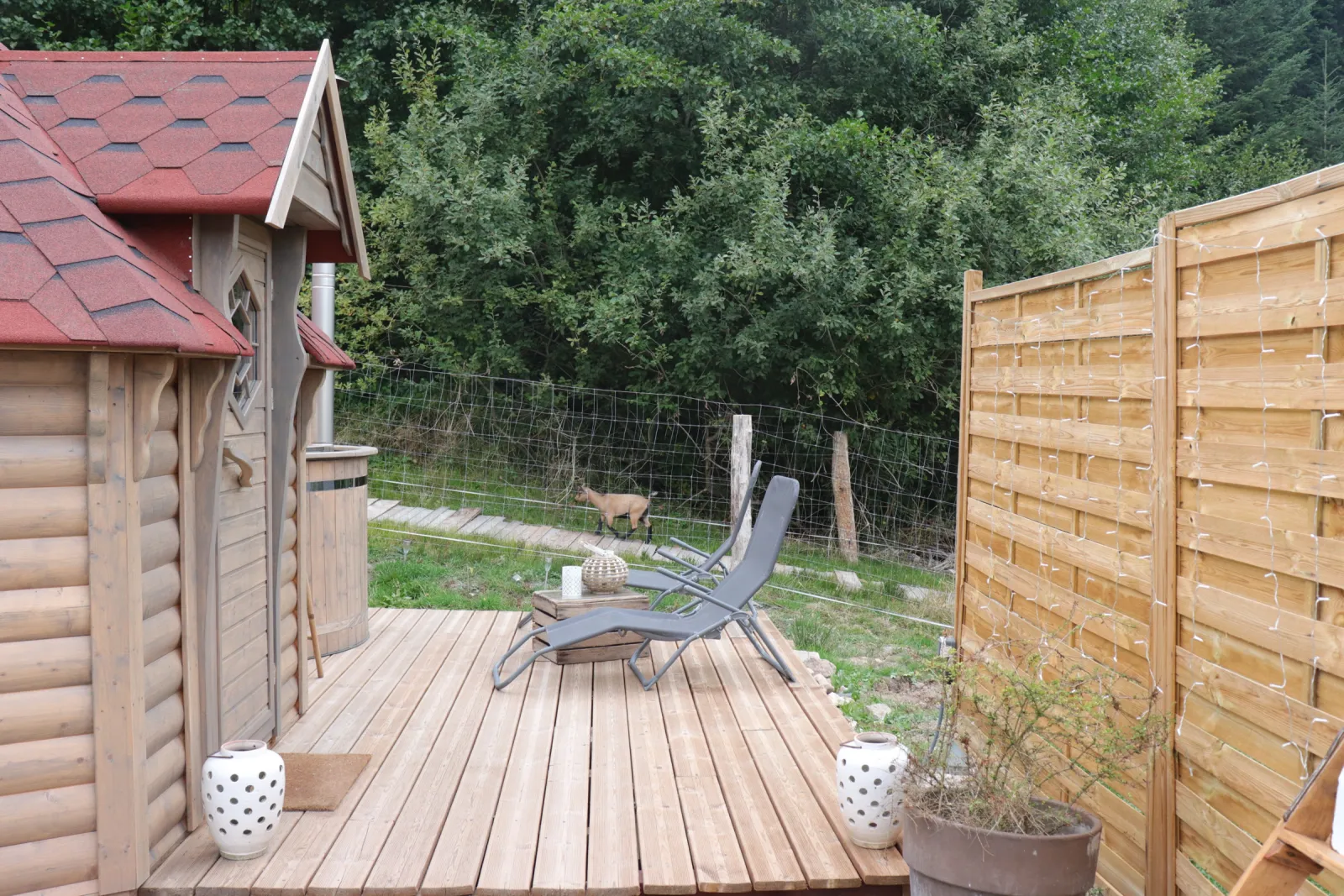 Kota en lisière à Ban-sur-Meurthe-Clefcy, photo 7
