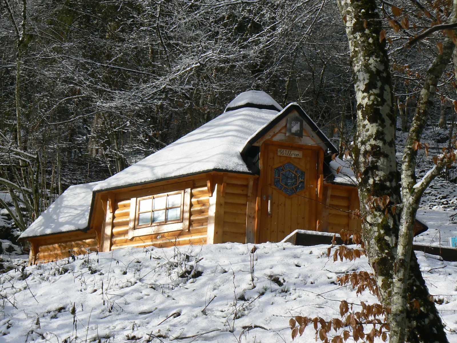 Kota Willow, cabane à Metzeral