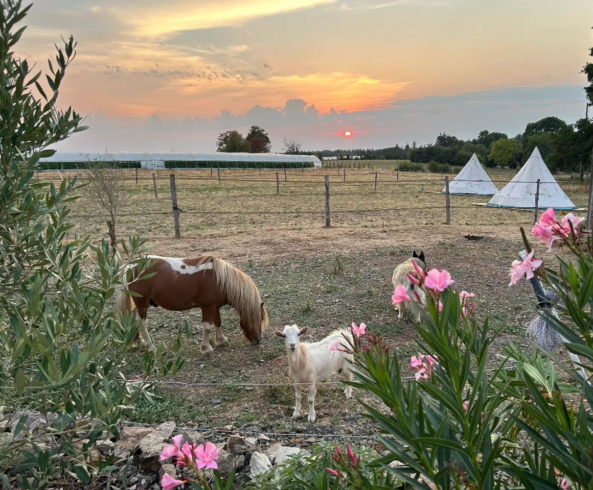 Tipi de la ferme de Pearl à Juillac, photo 2