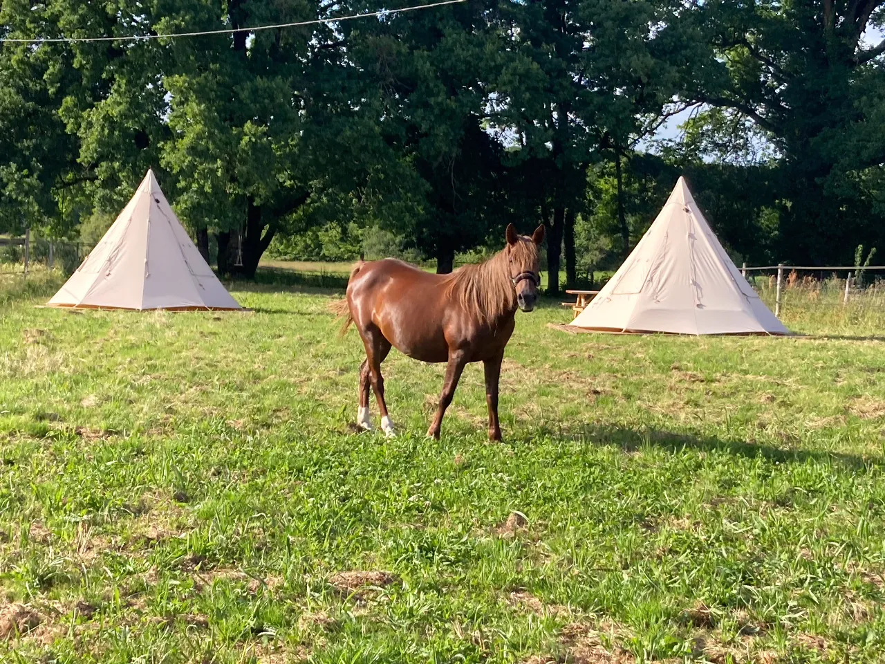 Tipi de la ferme de Pearl à Juillac, photo 3