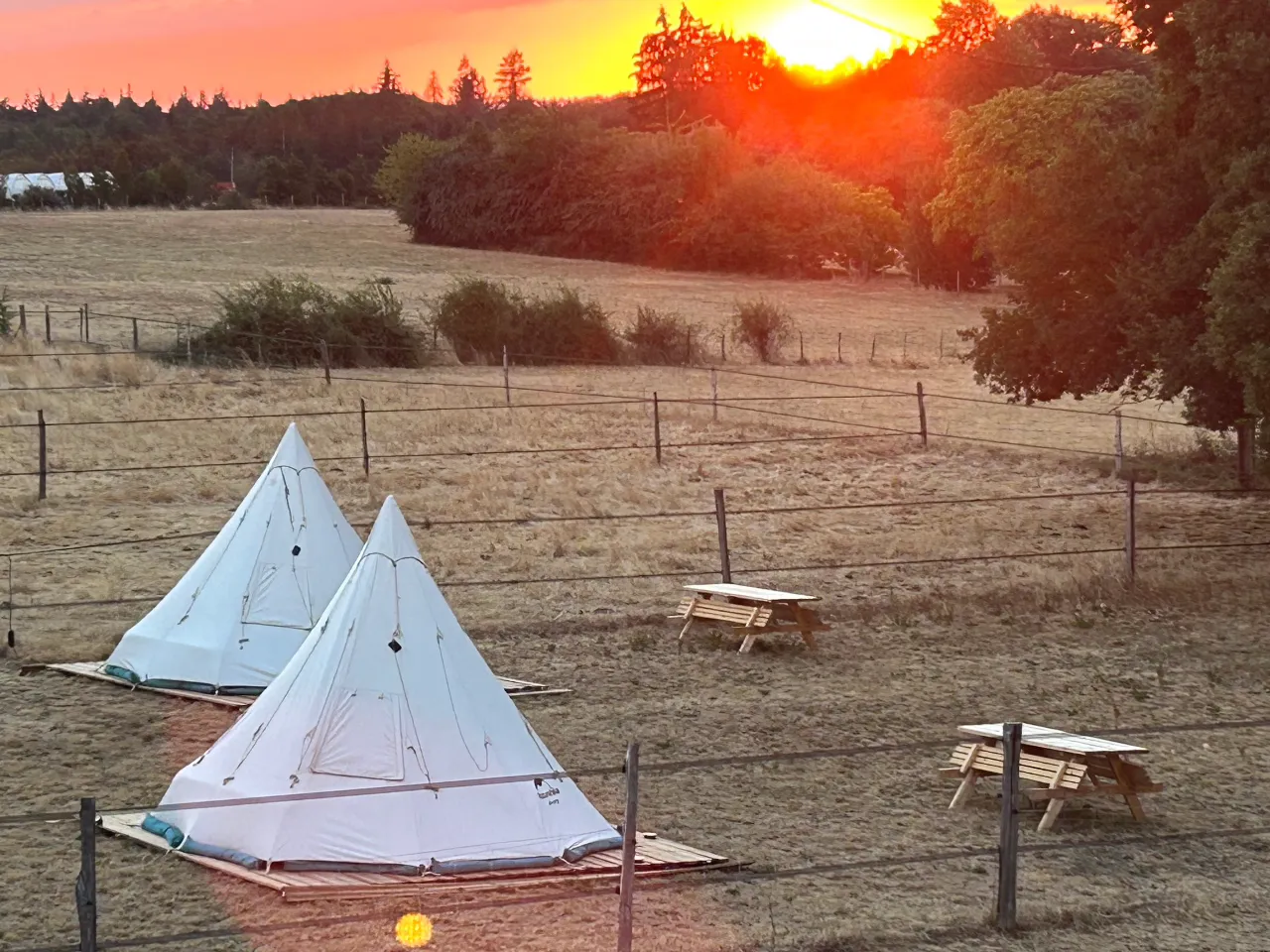 Tipi de la ferme de Pearl à Juillac, photo 4