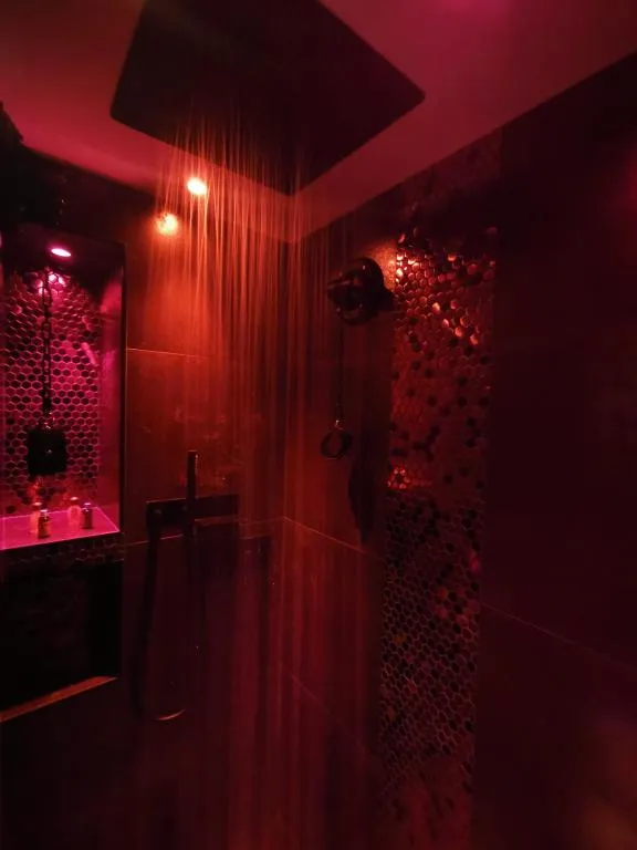 Love Room Cheminée à Ferney-Voltaire, photo 3