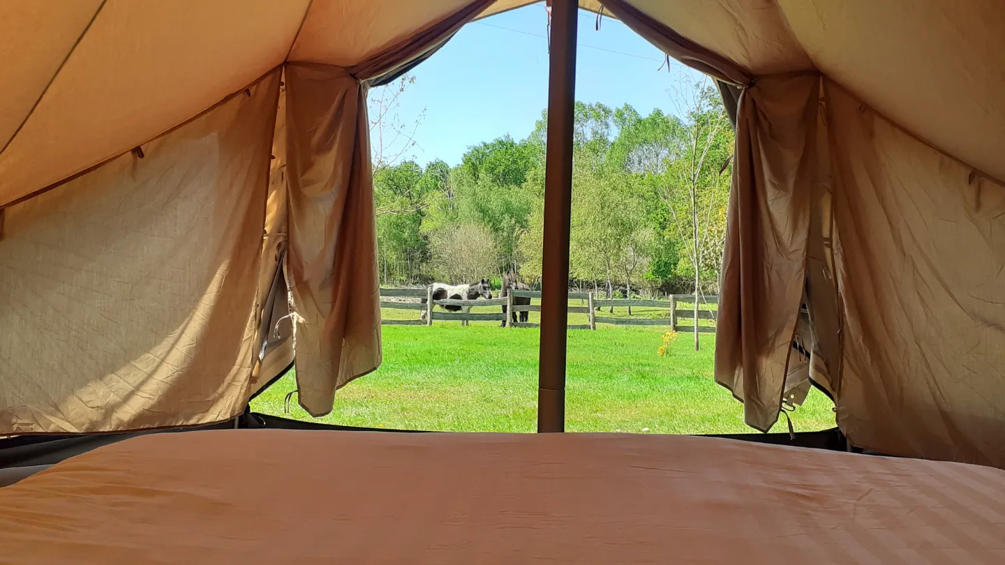 Tipi du Jardin du Papillon à Parigné-l'Évêque, photo 2