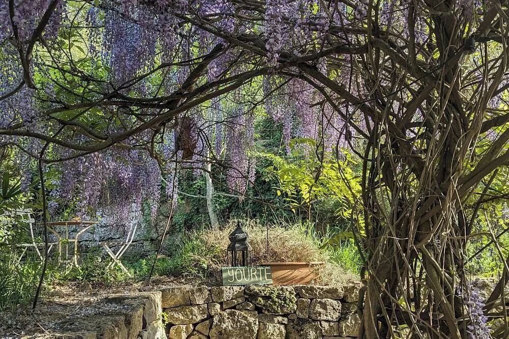 Cabayourte de La Mauvaise Herbe à Barjols, photo 4