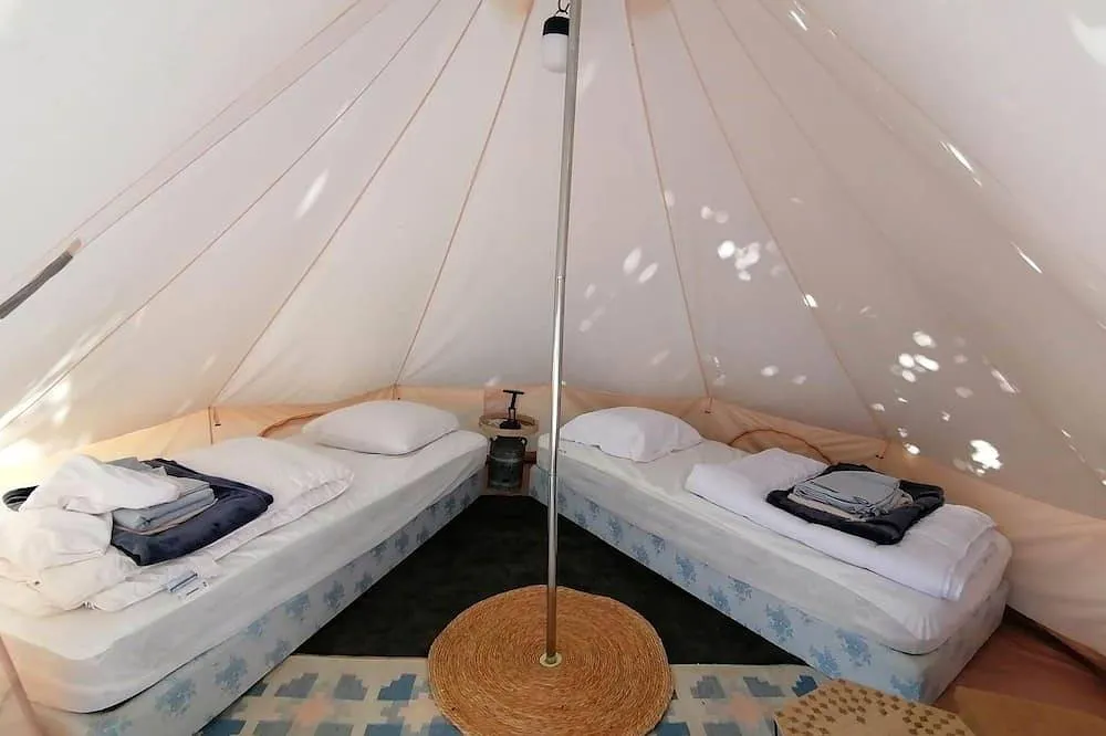 Tipi sous les Tilleuls à Joué-lès-Tours, photo 2