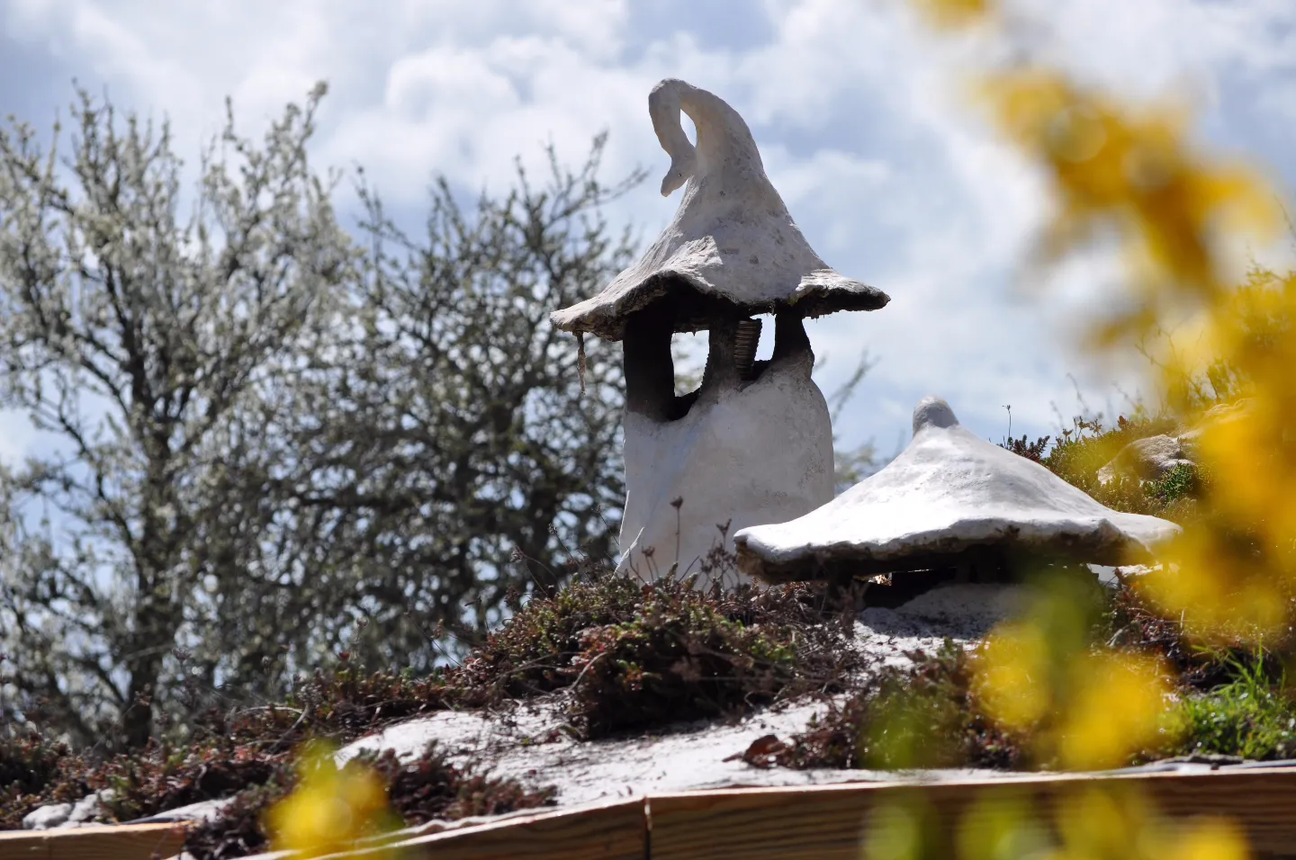 La Yourte Nature à La Tagnière, photo 2