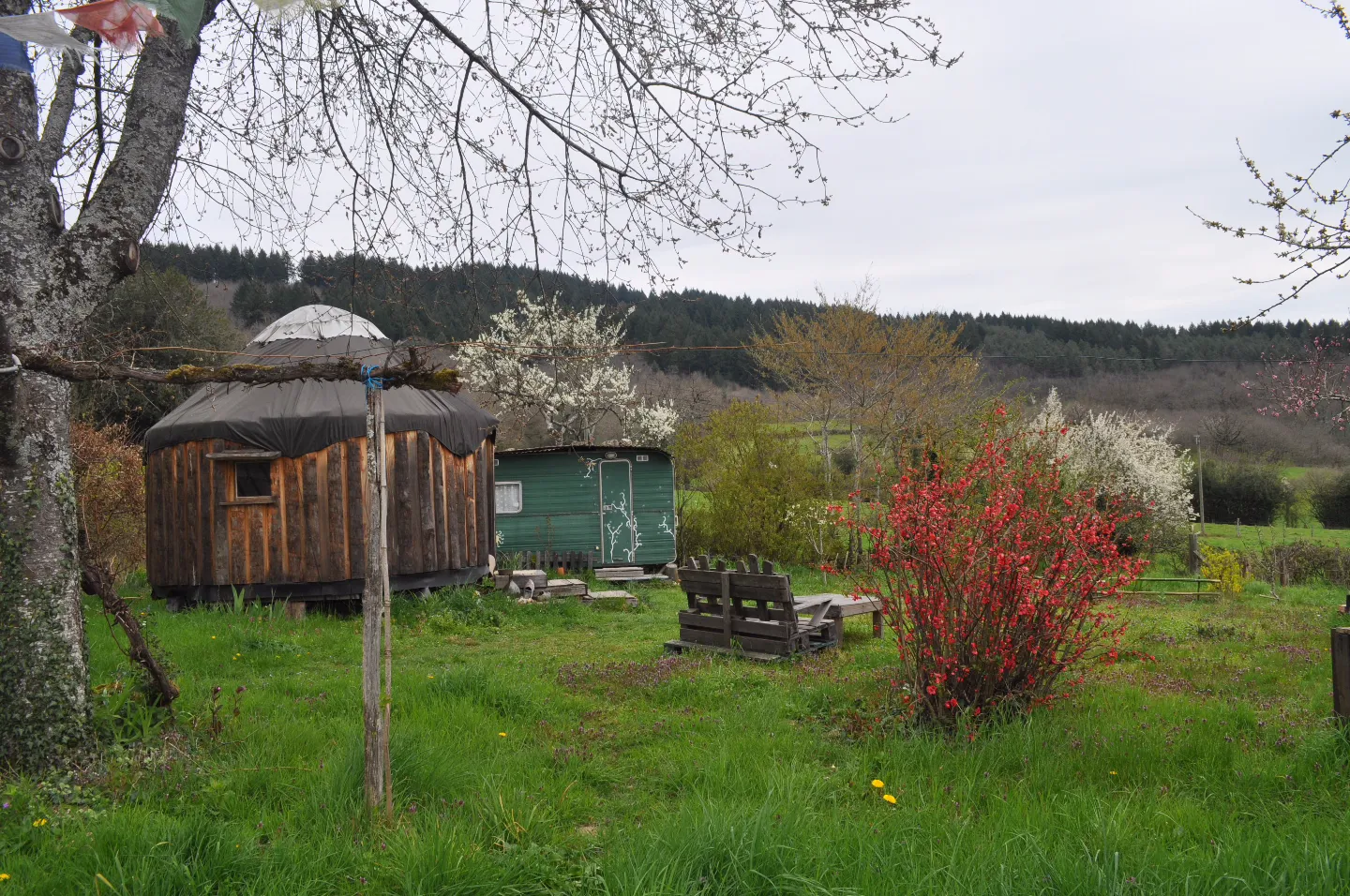 La Yourte Nature à La Tagnière, photo 6