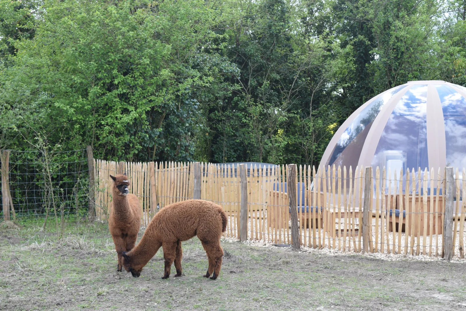 Bulle de Nature à Tuffalun, photo 2
