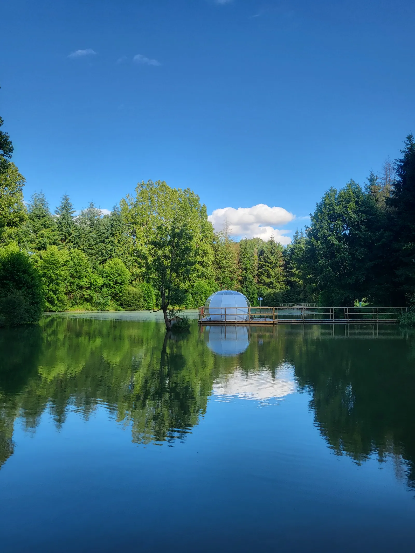 Bulle DO, hébergement sur l’eau à Pernay