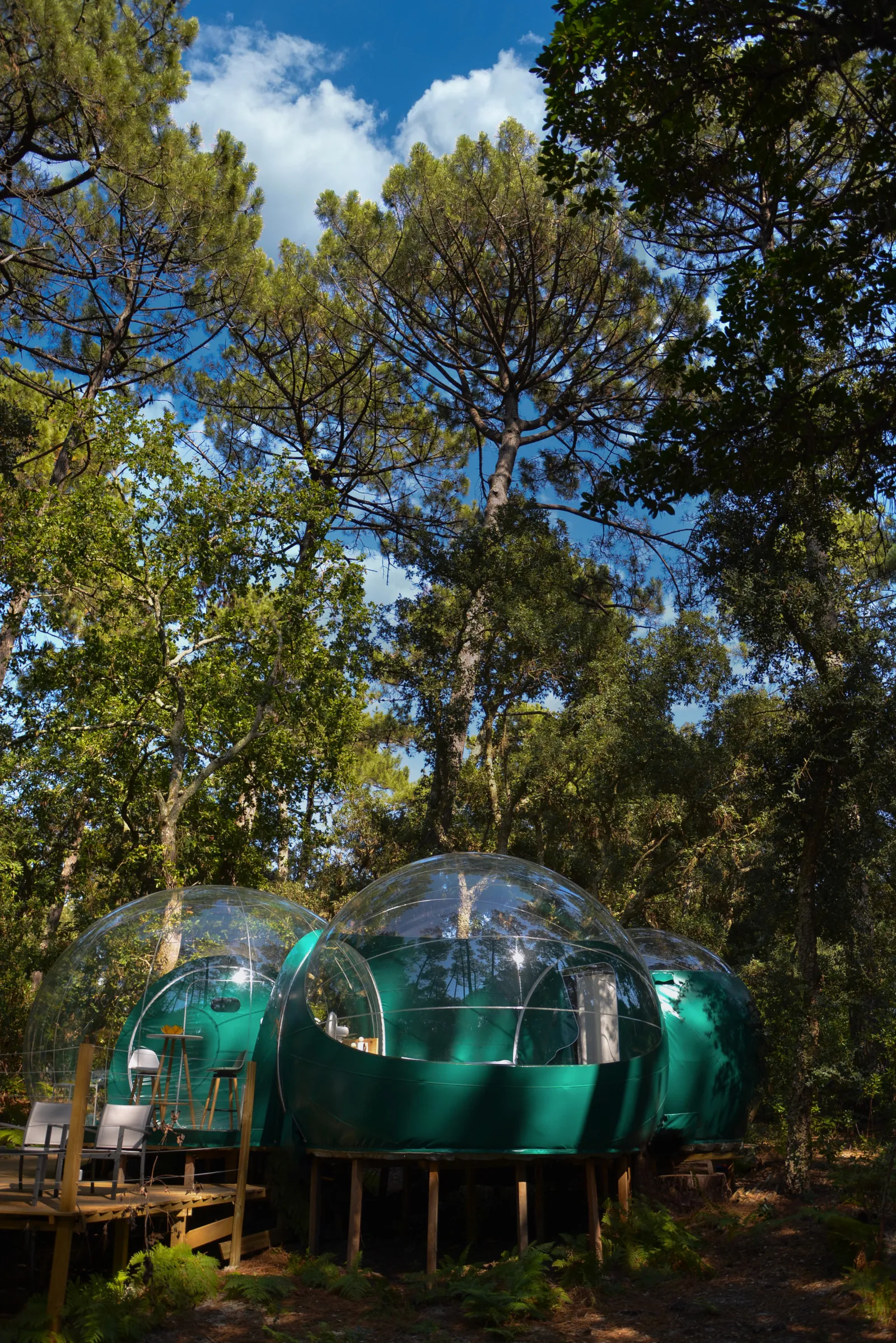 Bulle Verte d'Hossegor à Hossegor, photo 3