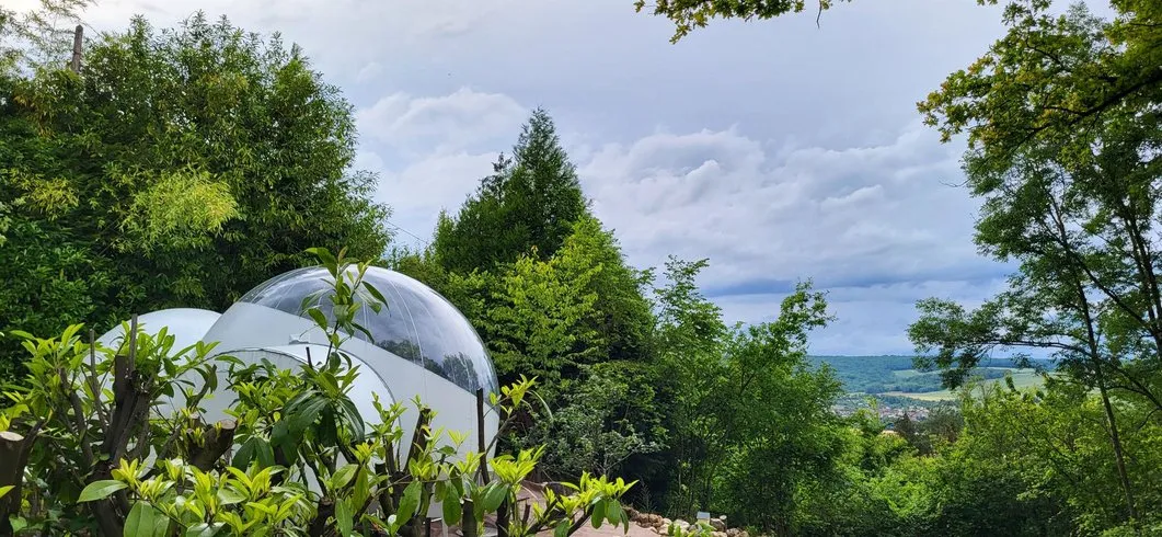 Les Bulles de Champagne à Dormans, photo 7