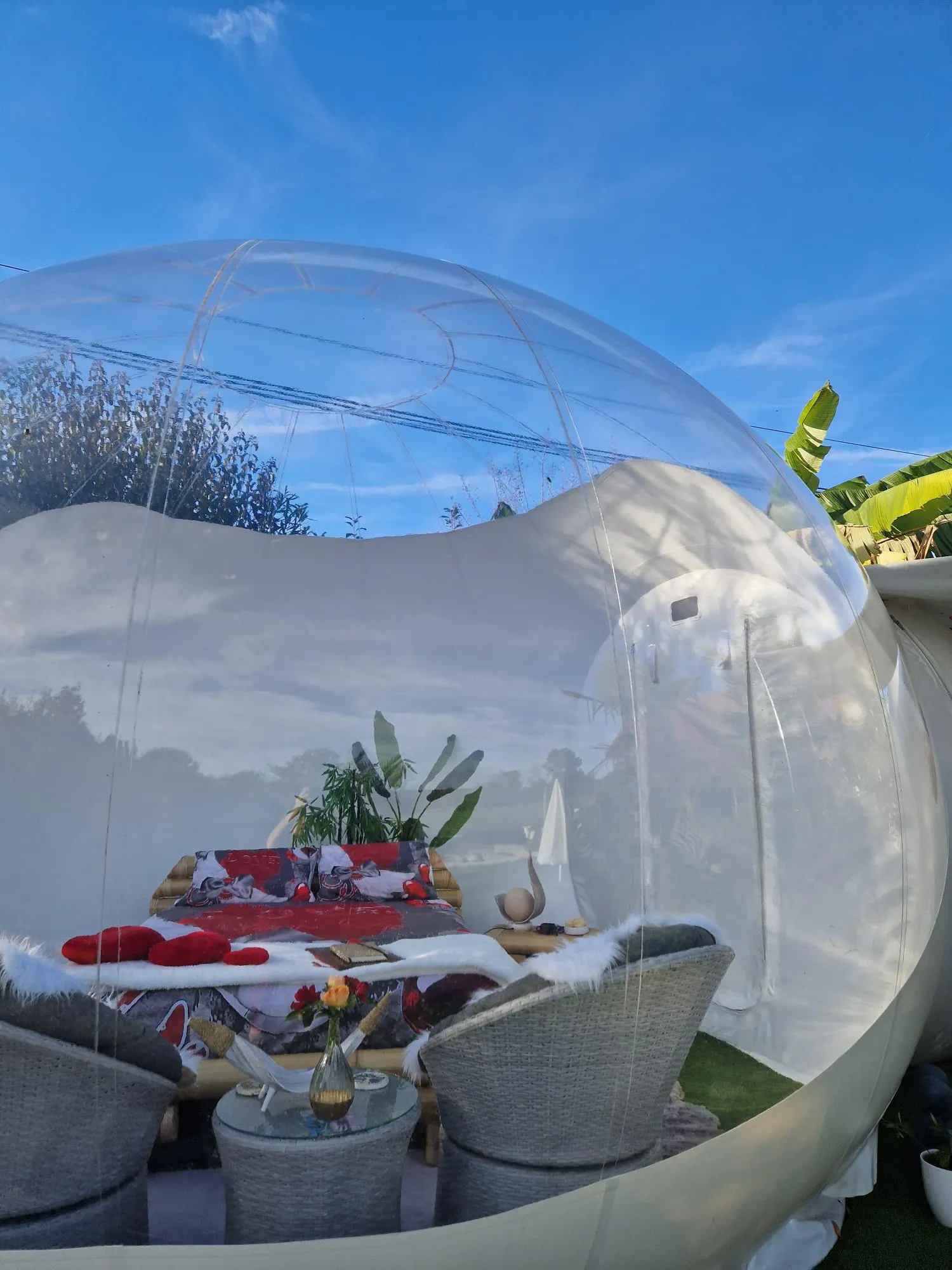 Bali Bulle à Morganx, photo 3