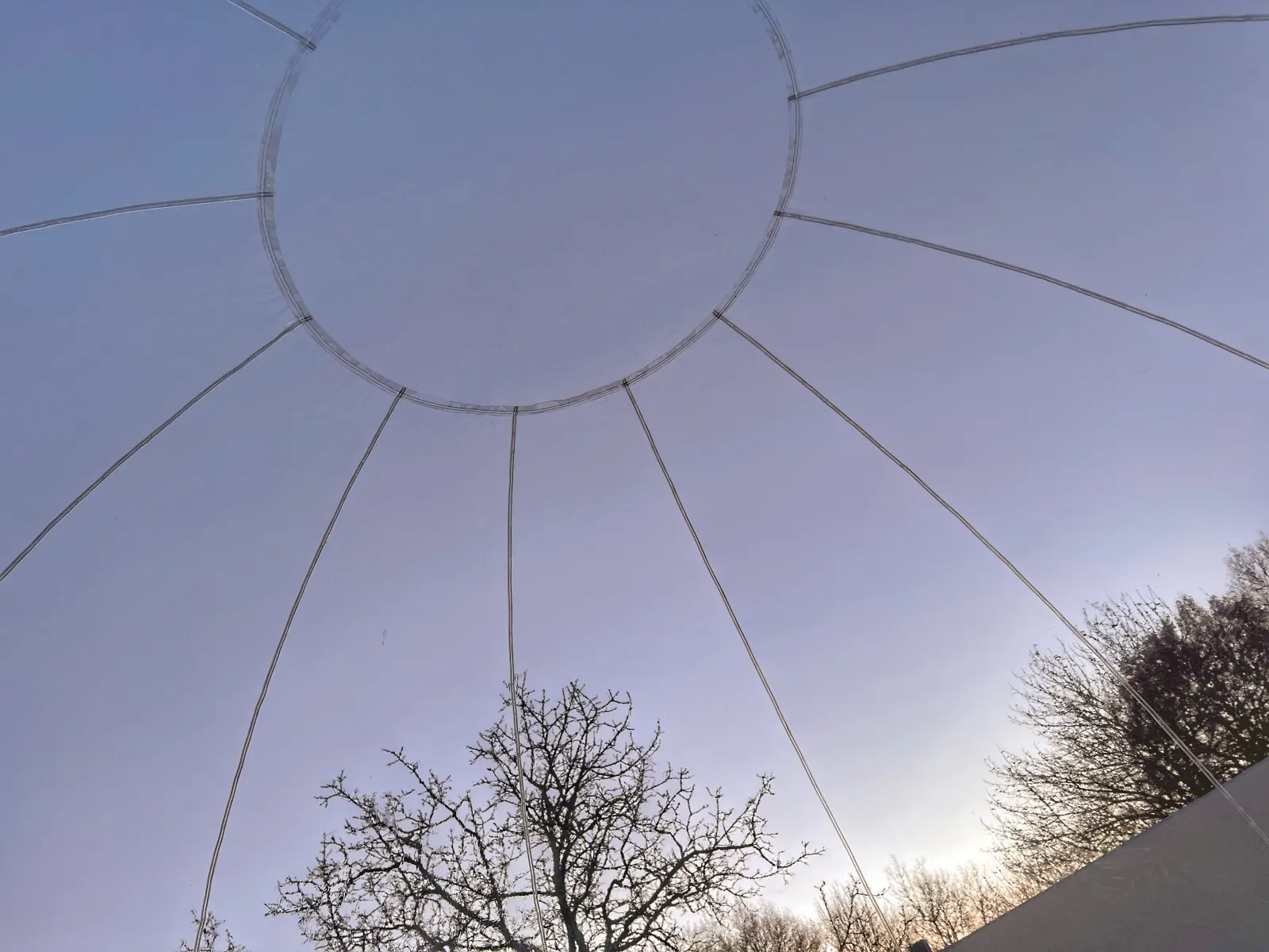 Bulle Love Home XO à Cherves-Richemont, photo 3